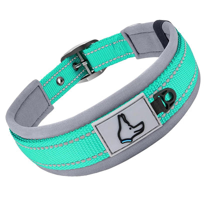 Collier pour chien turquoise