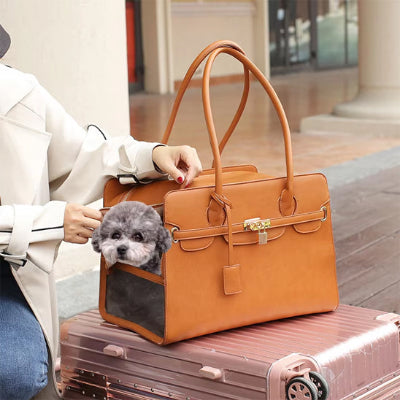 SAC DE TRANSPORT CHIEN-CUIR