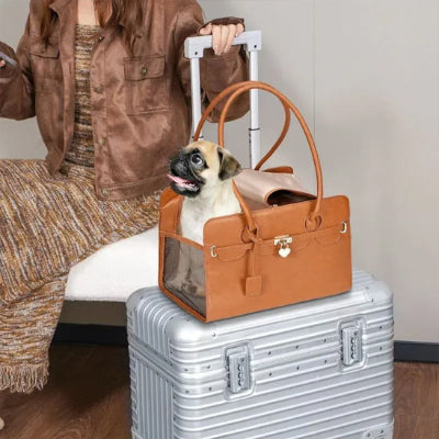 SAC DE TRANSPORT CHIEN-CUIR