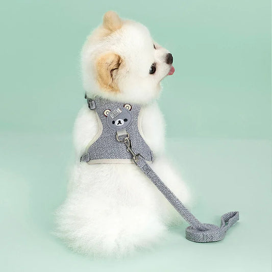 Harnais pour petit chien