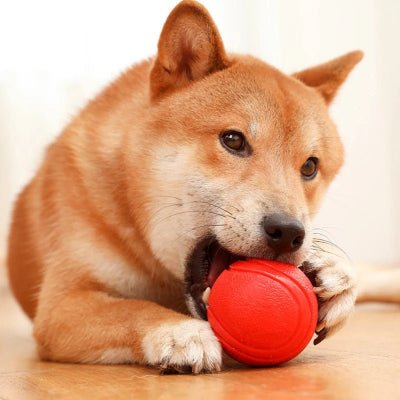 Balle pour chien-TitanPaw™