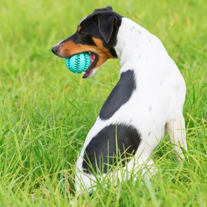 Balle pour chien-TreatBall™