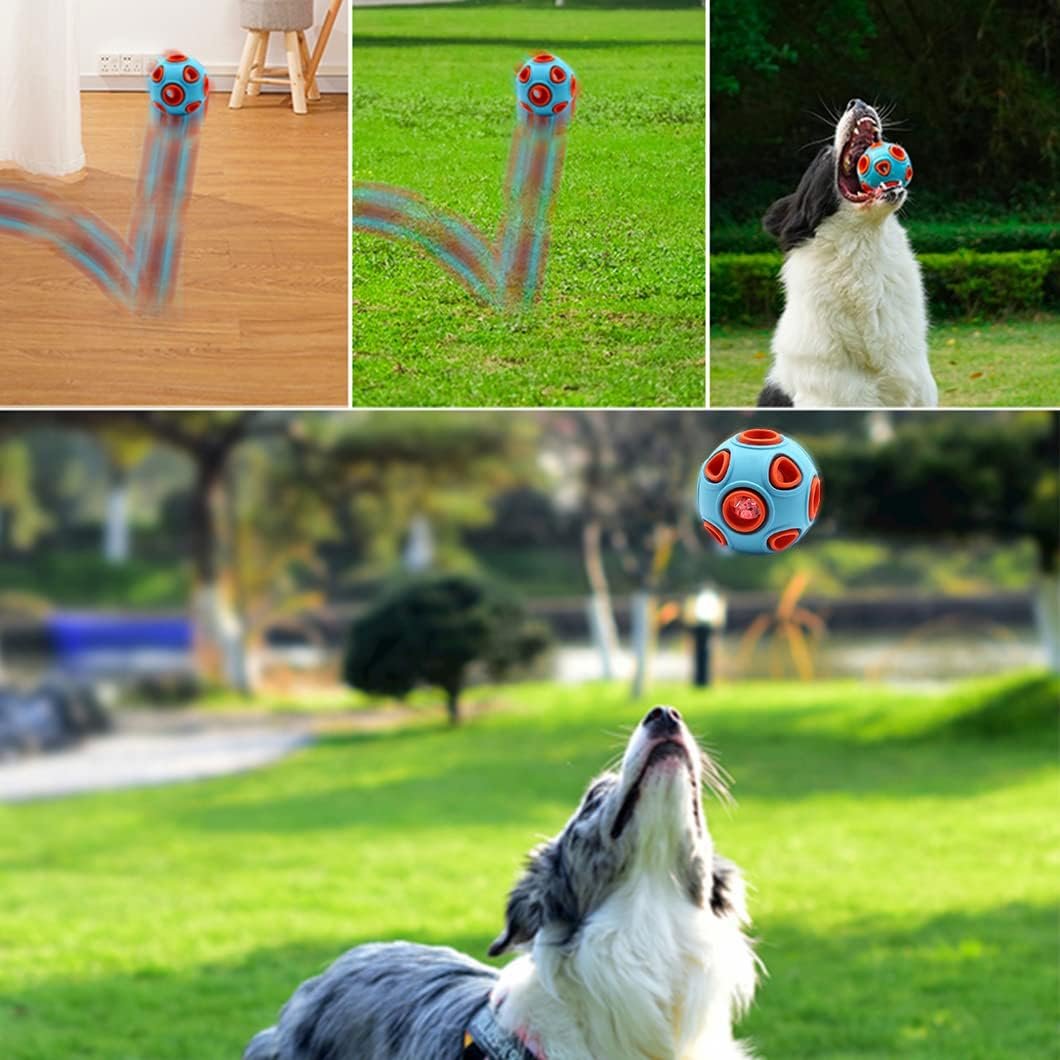 IMAGE MONTRANT UN CHIEN QUI TENTE D'ATTRAPER SA BALLE REBONDISSANTE BLEU ET ORANGE