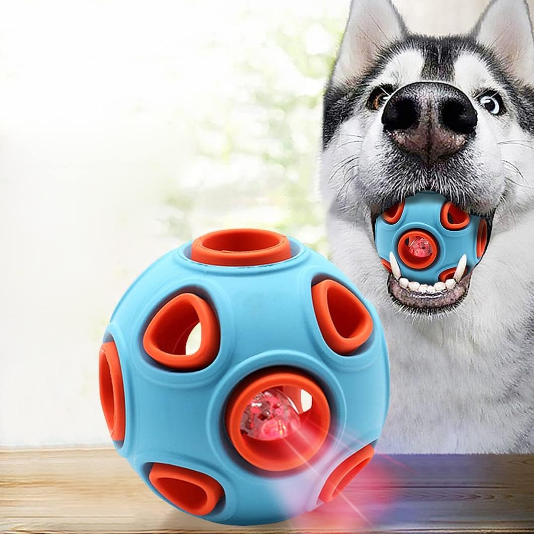 HUSKY AVEC BALLE BLEU ET ORANGE DANS LA GUEULE