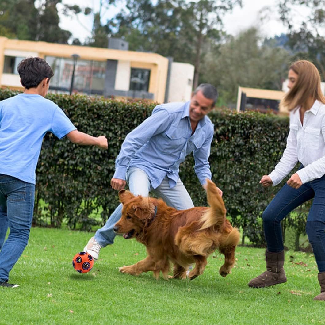 FAMILLE QUI S'AMUSE A LA BALLE AVEC LEUR GOLDEN RETRIEVER