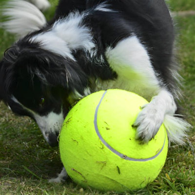 Balle pour chien-GigaBalle™