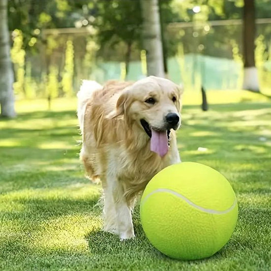 Balle pour chien DE TENNIS IMMENSE 