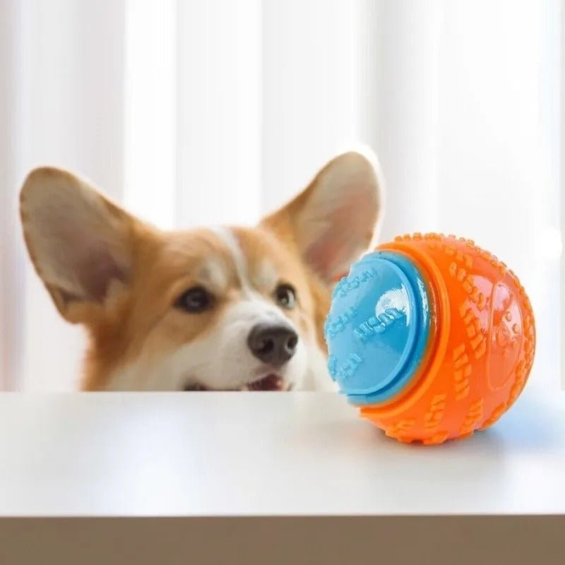 CORGI QUI REGARDE SA Balle pour Chien BLEU ET ORANGE