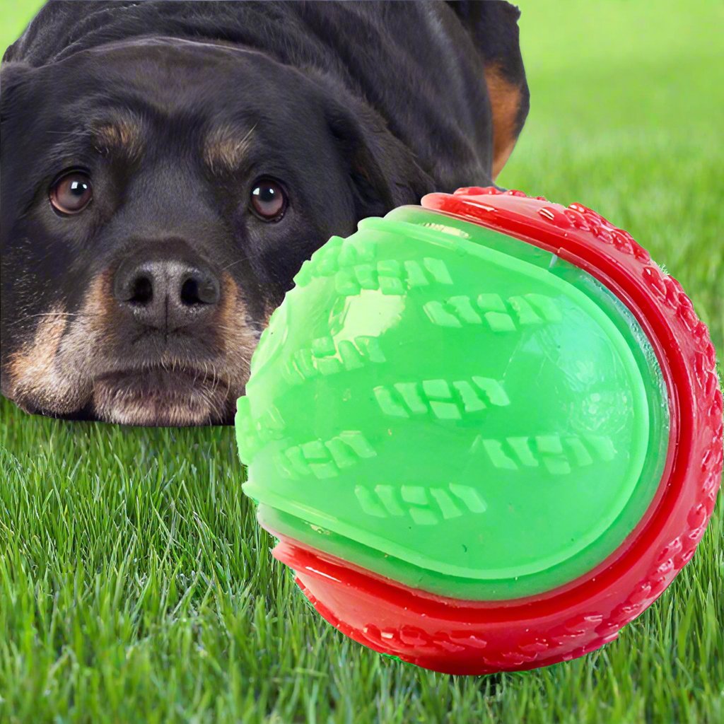 Rottweiler COUCHE DANS LE GAZON QUI REGARDE SA Balle pour Chien 