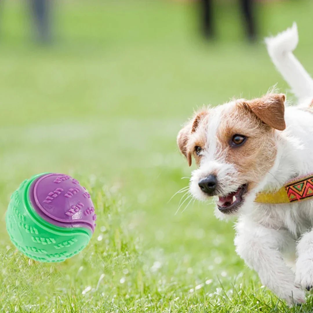 Balle pour Chien - InteractiveToys™ - Violet - Fun en chien