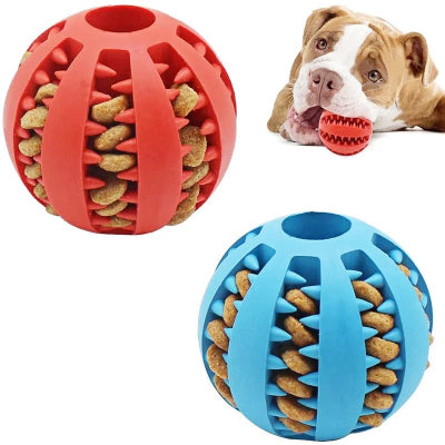 chien Dogue qui mache sa Balle pour chien a macher et resistante - TreatBall™ 