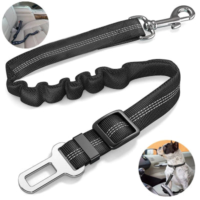 Ceinture de sécurité chien
