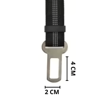 Ceinture de sécurité chien
