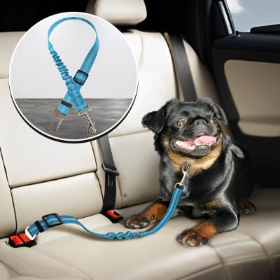 Ceinture de sécurité chien
