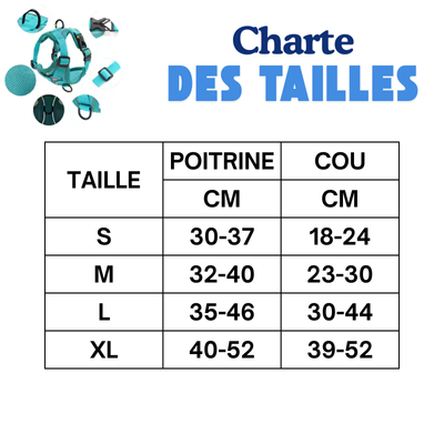 charte de taille harnais ConfortPaw