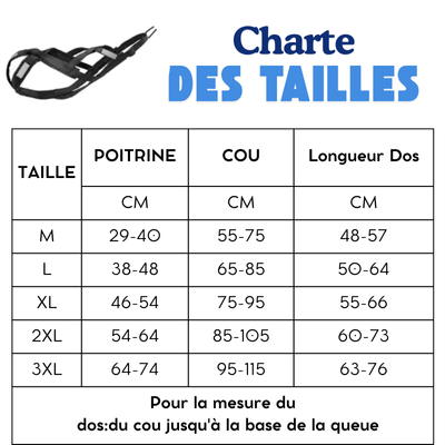 charte de taille harnais canicross