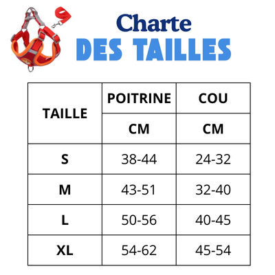 charte des tailles pawfit