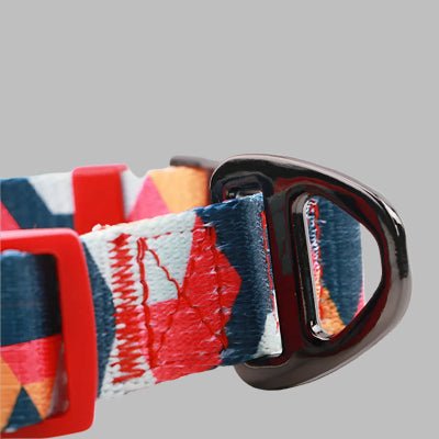 Collier chien - Coloré - Fun en chien
