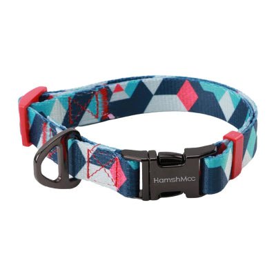 Collier chien - Coloré - Fun en chien