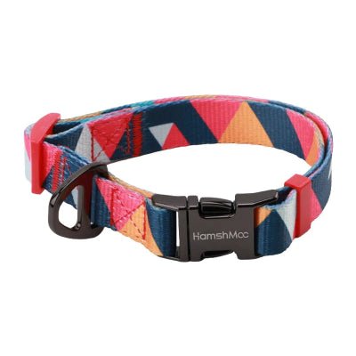 Collier chien - Coloré - Fun en chien