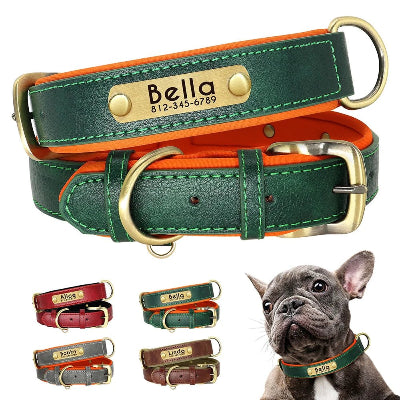 Collier chien personnalisé-CUIR