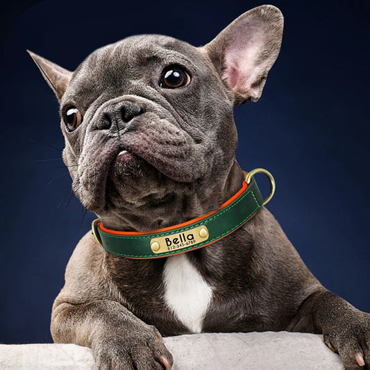 Collier chien personnalisé-CUIR