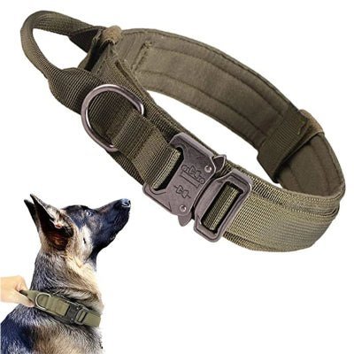 Collier chien - Ensemble laisse Elitek9™ - Fun en chien