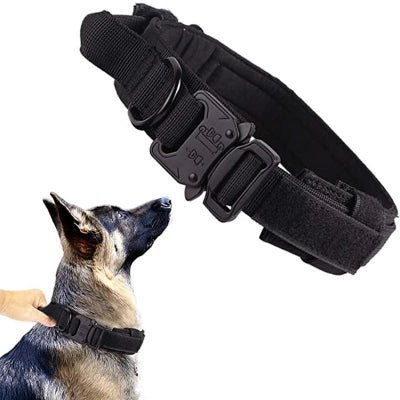 Collier chien - Ensemble laisse Elitek9™ - Fun en chien