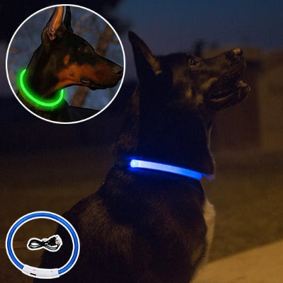Collier lumineux chien-VERT
