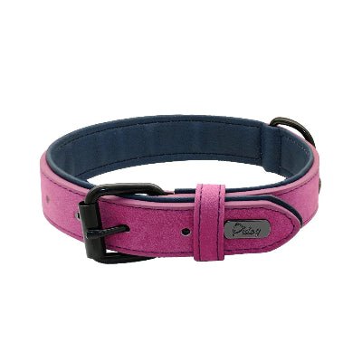 Collier cuir chien - Fun en chien