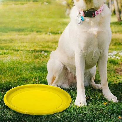 CHIEN ASSIS A COTE DE SON Frisbee 
