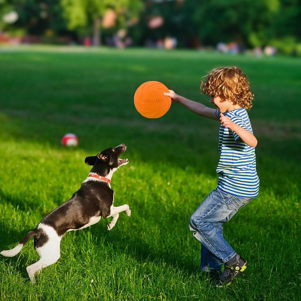 PETIT GARCON QUI JOUE DANS L'HERBE  AVEC SON CHIEN AU Frisbee 