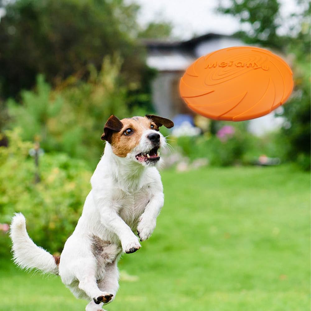 CHIEN QUI SAUTE POUR ATTRAPER SON Frisbee ORANGE