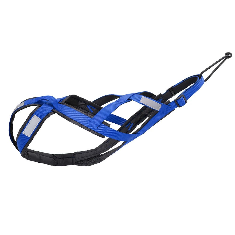 Harnais canicross - Crosstrail™ - Fun en chien