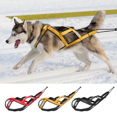 Harnais canicross - Crosstrail™ - Fun en chien