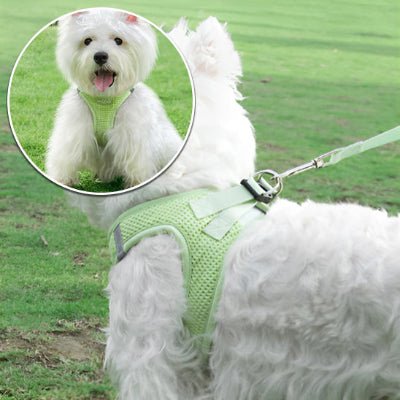 Harnais chien - P’tit Confort™ - Fun en chien