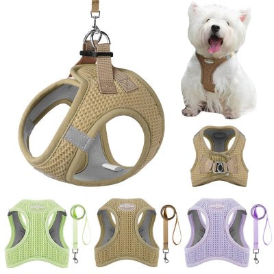 Harnais chien - P’tit Confort™ - Fun en chien