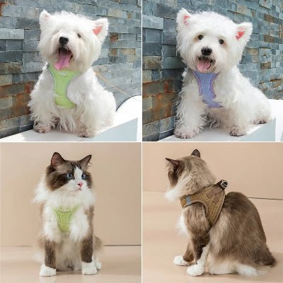Harnais chien - P’tit Confort™ - Fun en chien