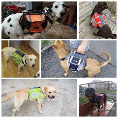 Harnais chien - Sac K9 - Fun en chien