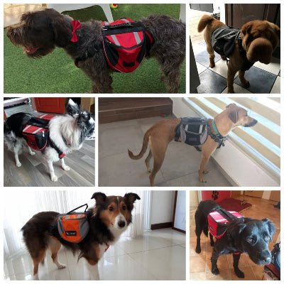 Harnais chien - Sac K9 - Fun en chien