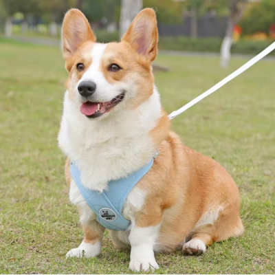 Harnais Anti Traction chien