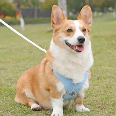Harnais Anti Traction chien