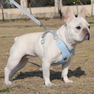 Harnais Anti Traction chien