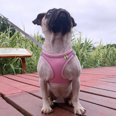 Harnais petit chien-littlePet™ ROSE