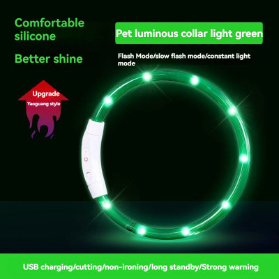 Collier lumineux chien-VERT