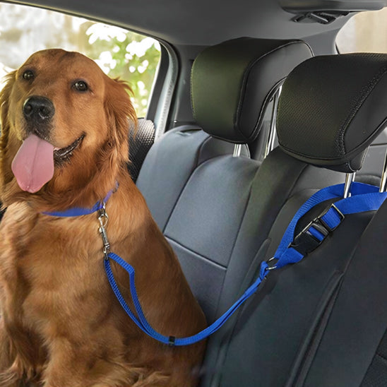 Laisse pour chien-Pawsecure™