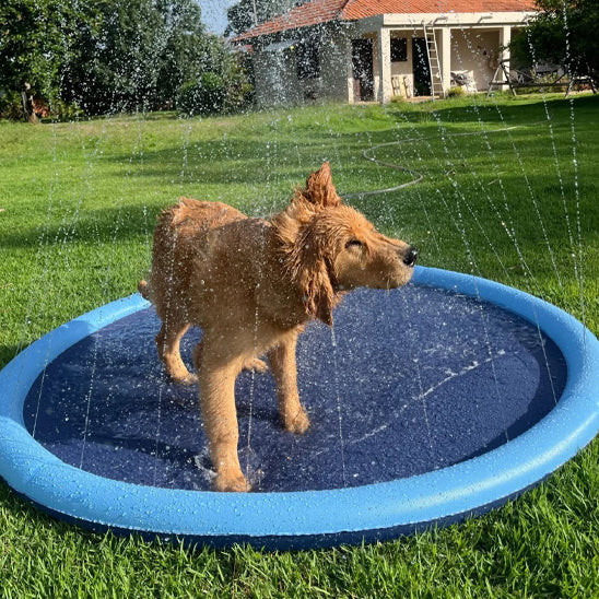 Piscine pour chien-Arrosoir