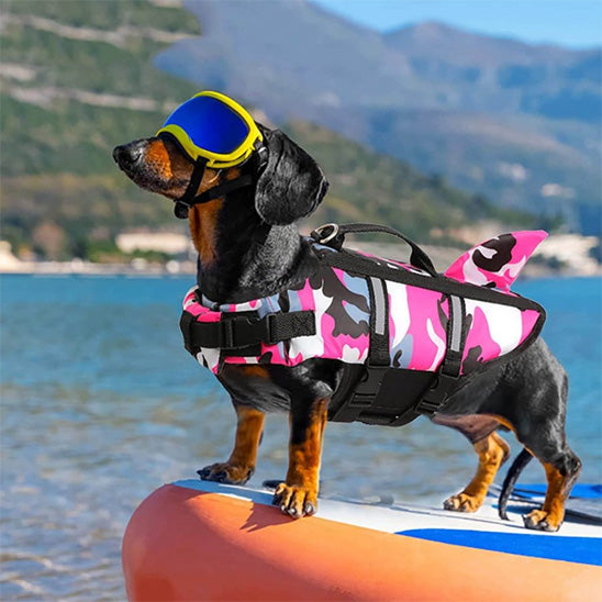 Gilet de sauvetage pour chien-REQUIN