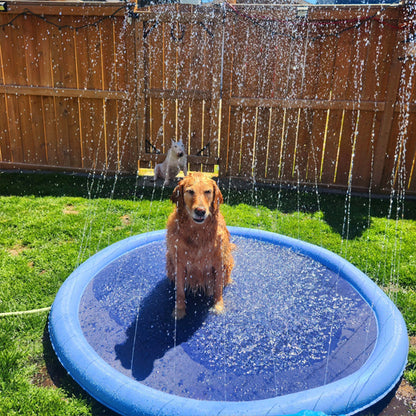 Piscine pour chien-Arrosoir