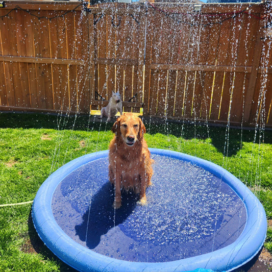 Piscine pour chien-Arrosoir